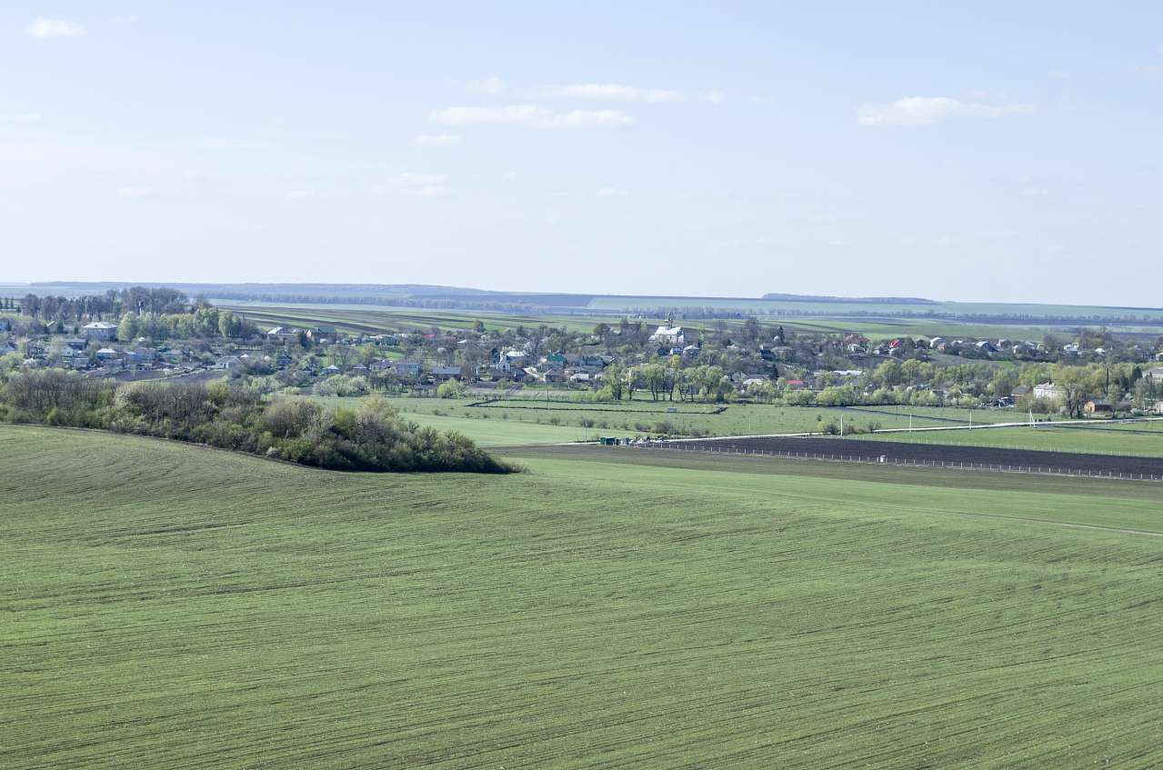 Медобори - Вікно