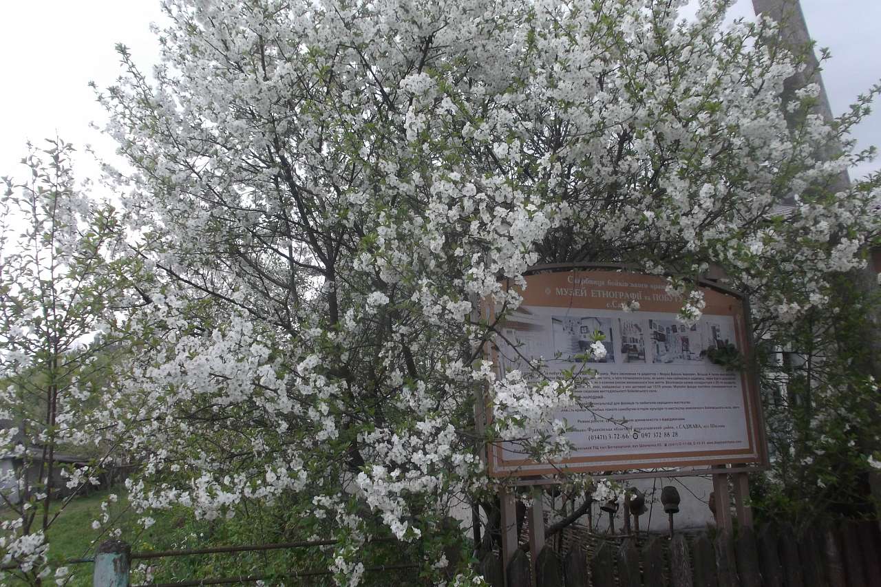 Spring in Sadzhava 2017 - Саджава