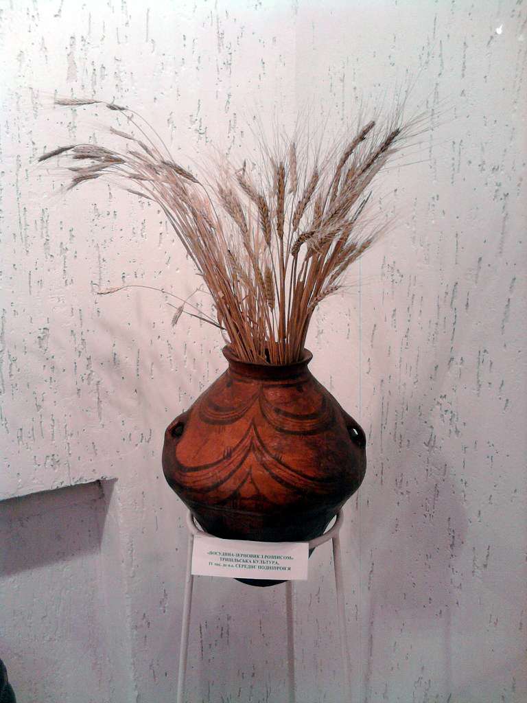 КИЇВСЬКИЙ ОБЛАСНИЙ АРХЕОЛОГІЧНИЙ МУЗЕЙ - Триполье