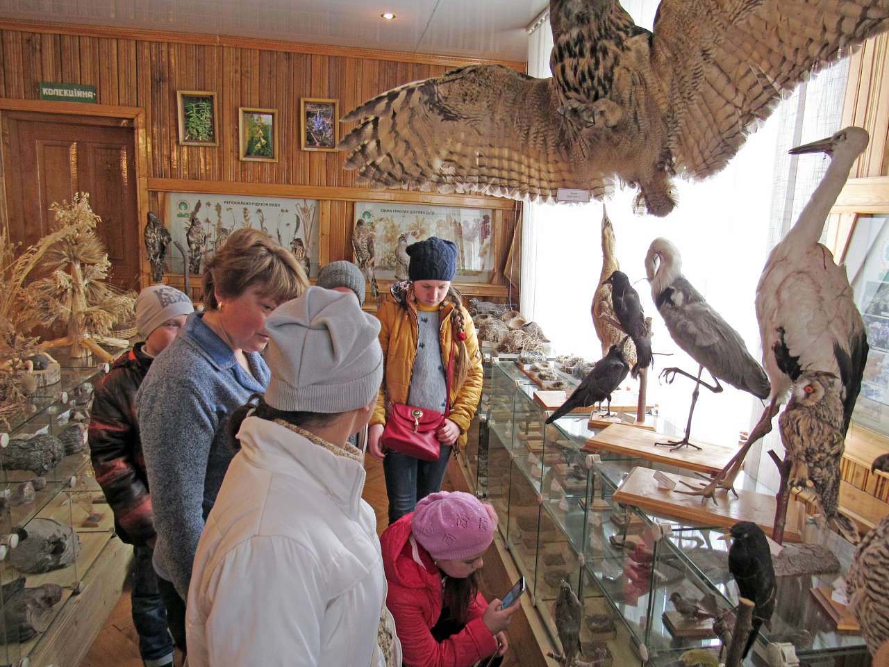 школа - Калагарівка