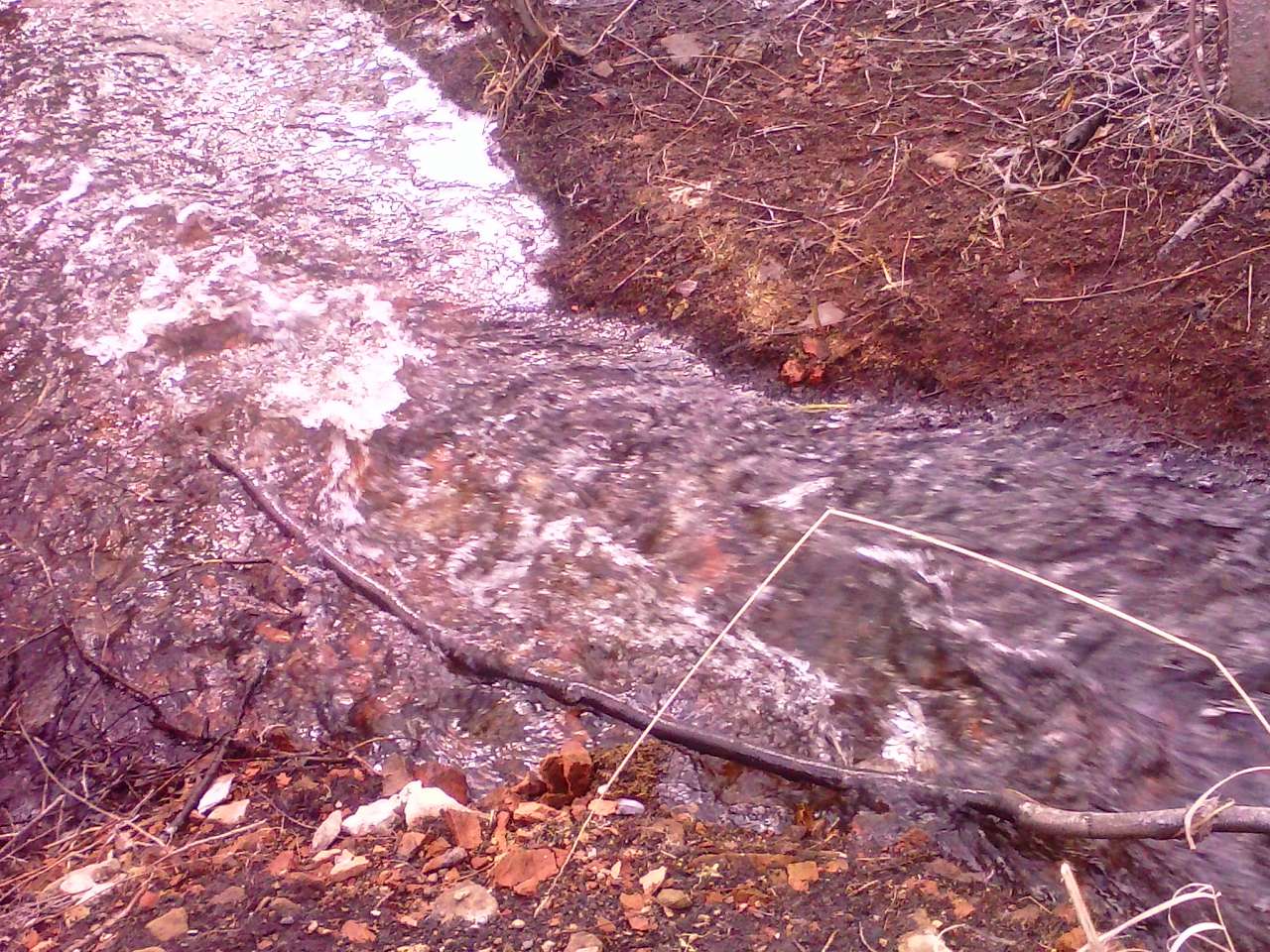 Ожива - Клюсівка