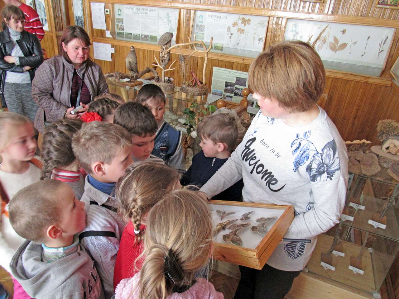 школа - Скалат