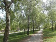 Ватутінський калей доскоп