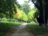 Парк села Деребчин