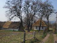 Kulikivka - Latest photos