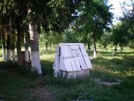 Школа і Леонтович