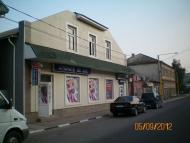 Сорока за Дністром