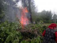 Сільськ толока'