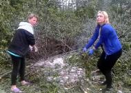 Сільськ толока'