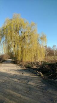 Ставок села