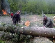 Сільськ толока'