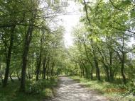 Ватутінський калей доскоп