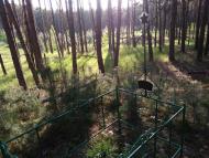 затоплені села