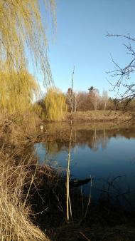 Ставок села