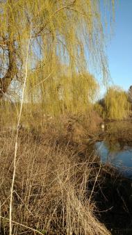 Ставок села