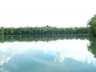 Парк села Деребчин