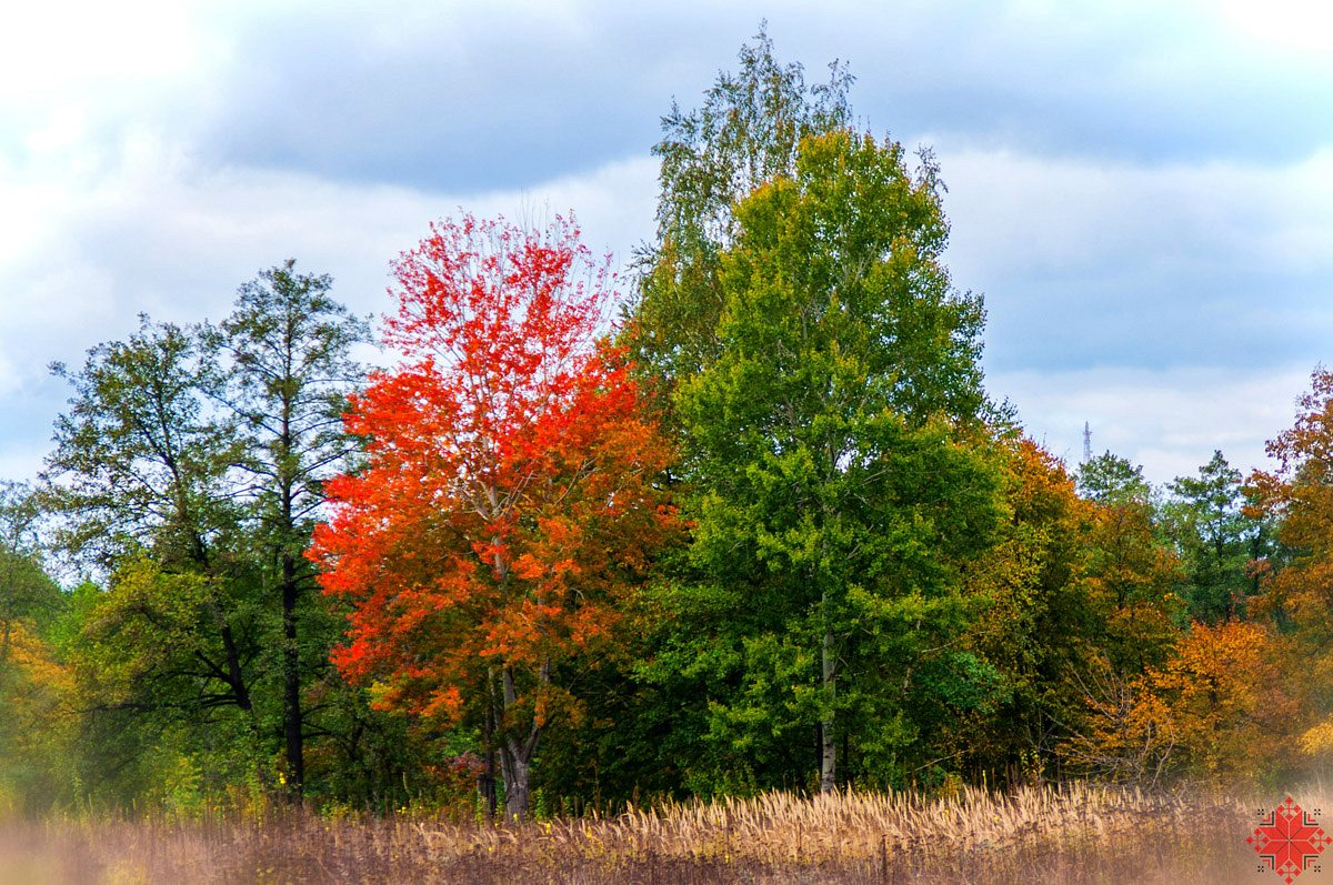 Вильхове - Вільхове