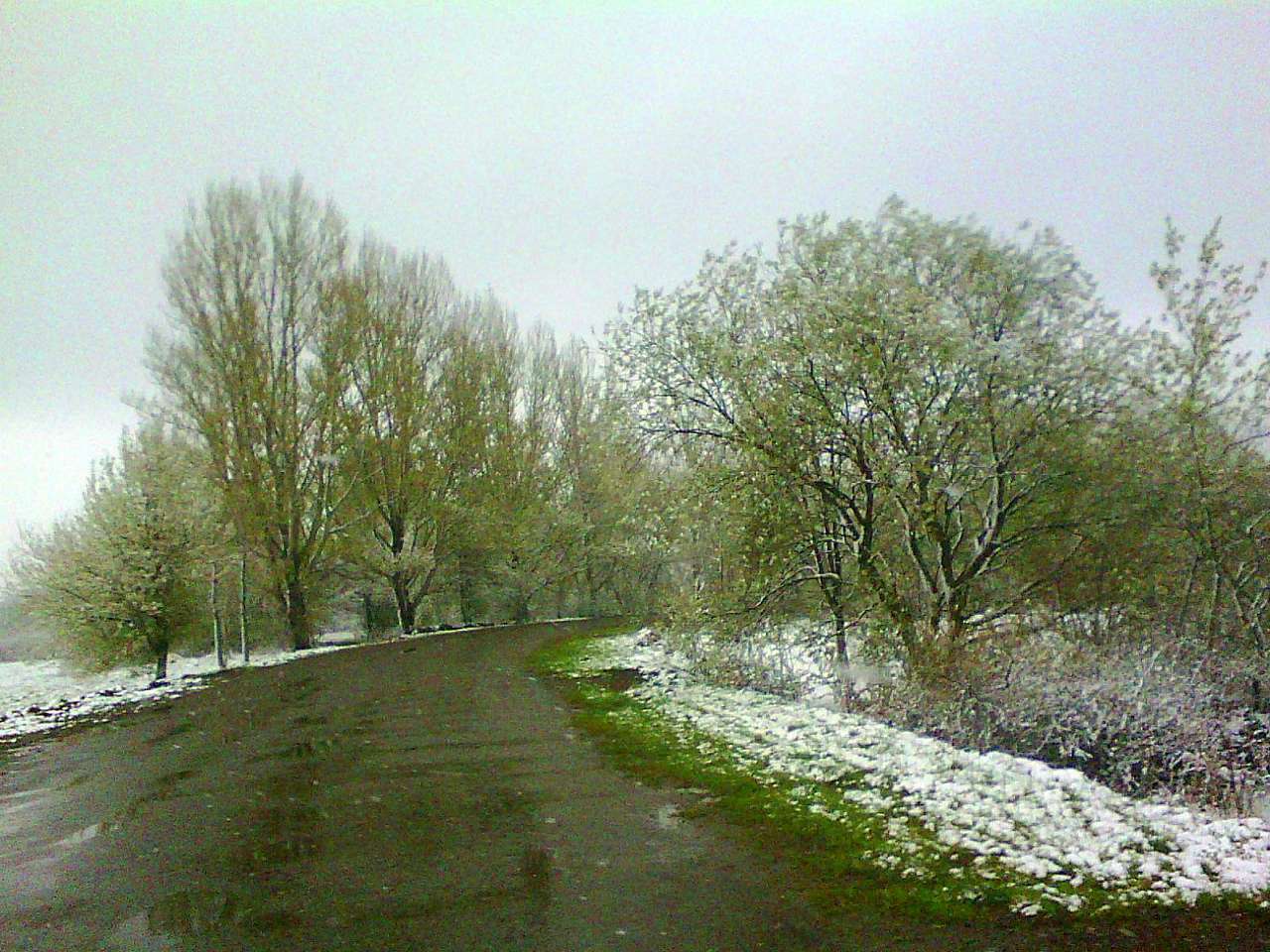 краєвид - Нижня Стинава