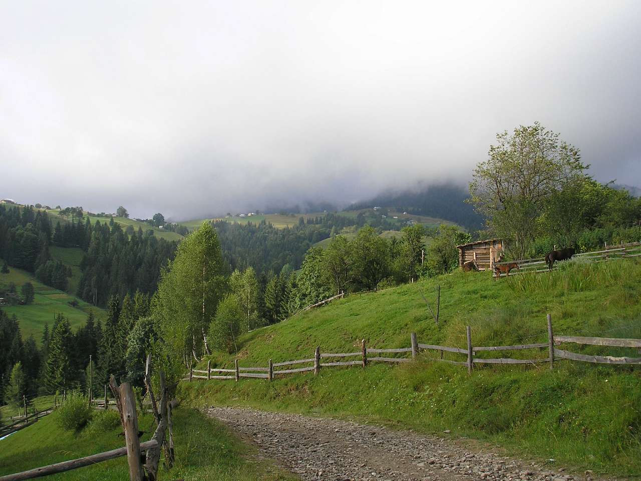 Літо 2006 - Голови