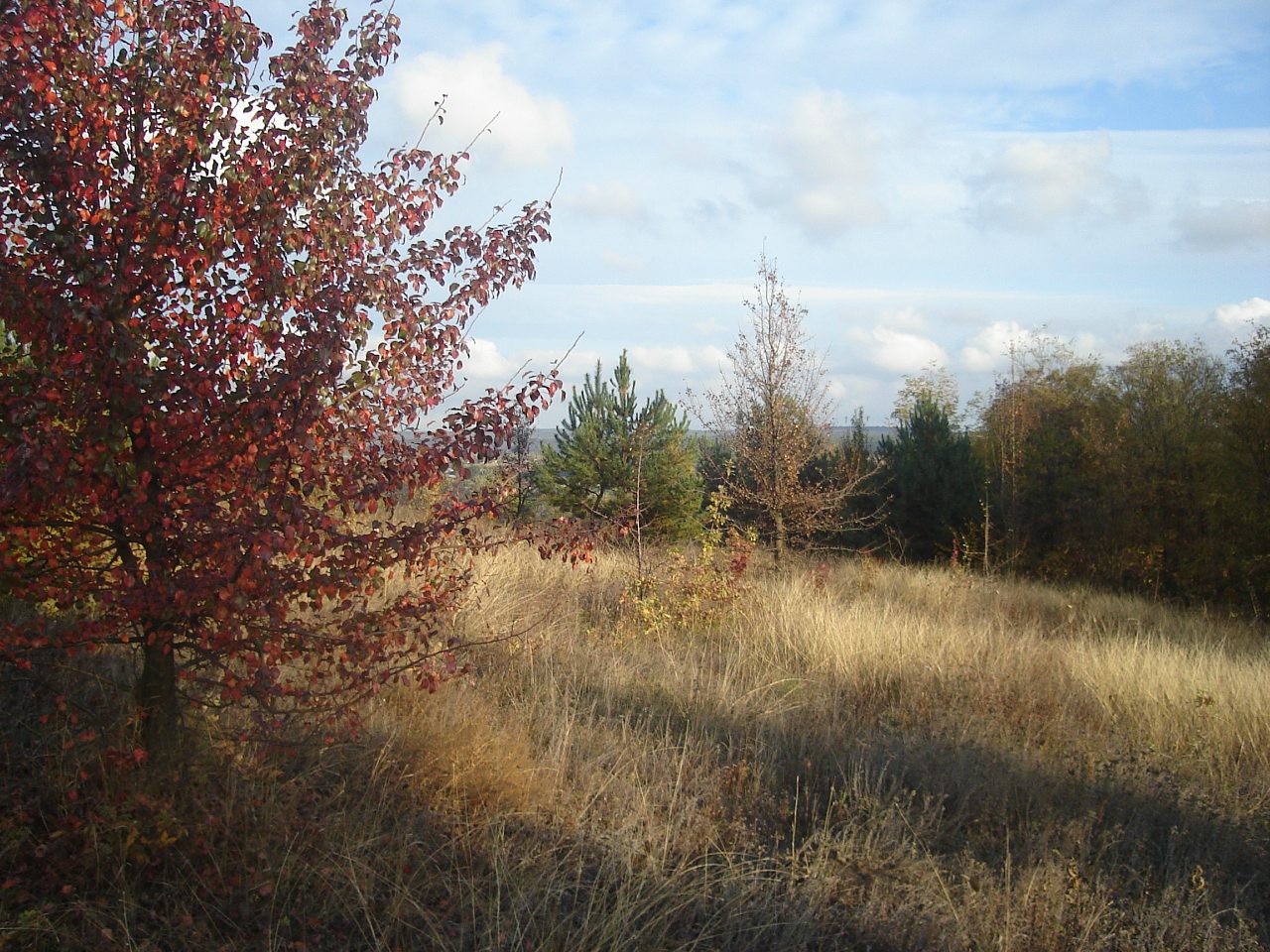 Млиев 2016 - Мліїв