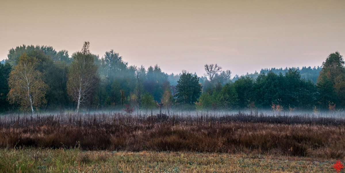 Вильхове - Вільхове