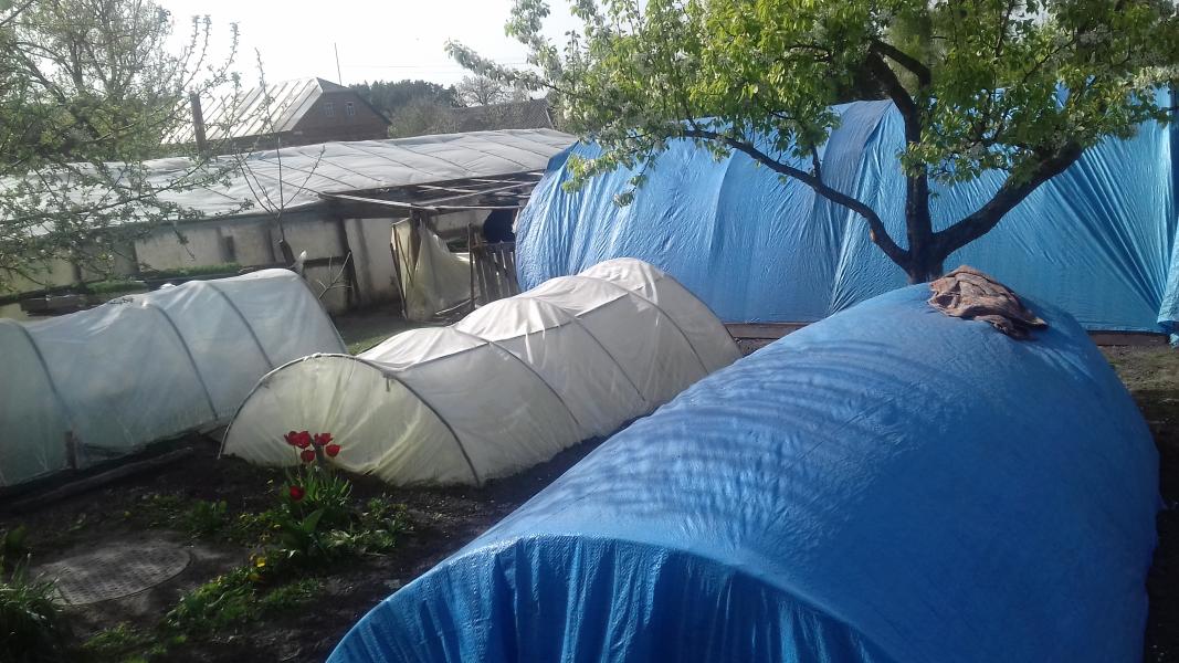 Правдюки - Pravdyuky