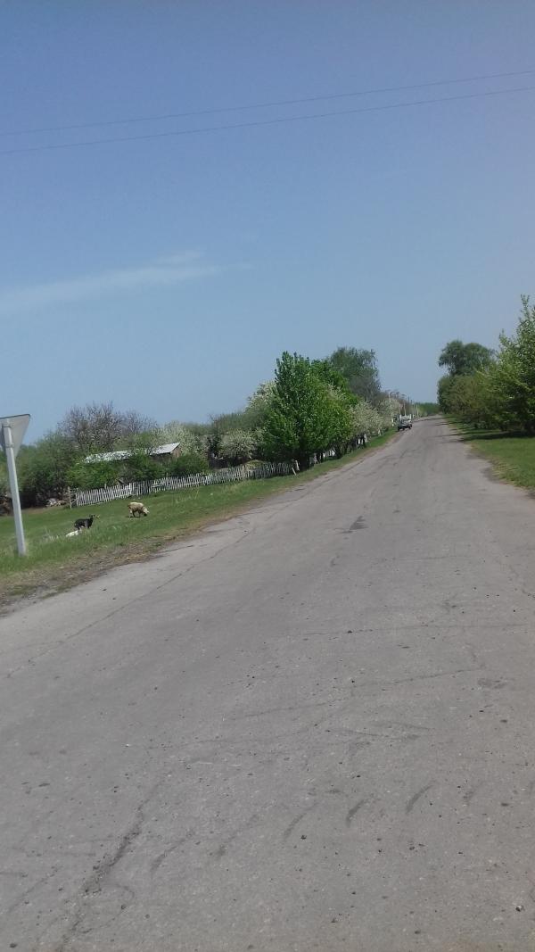 Перетічки - сьогодні - Перетічки