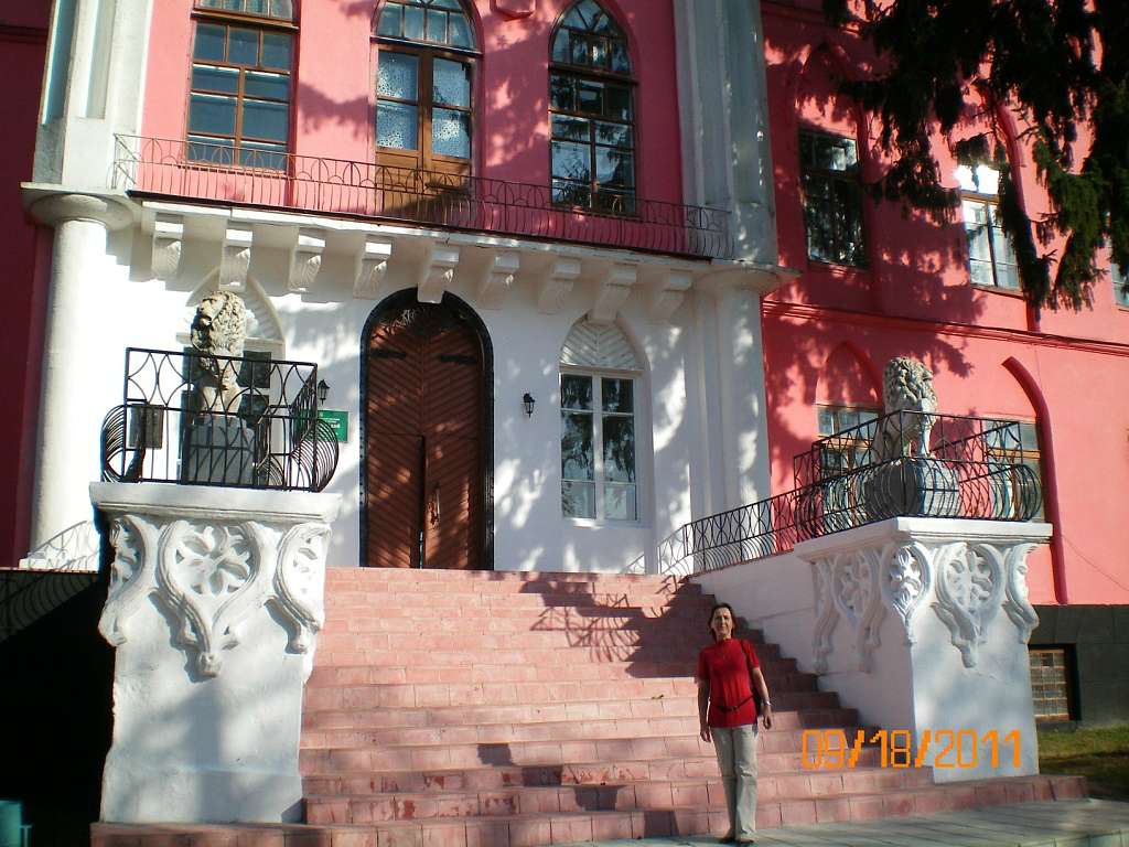 Палац 2011 - Чернятин