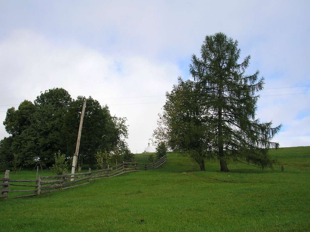 Літо 2006 - Голови