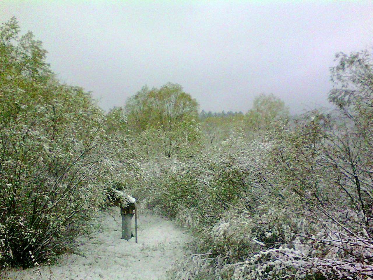 краєвид - Нижня Стинава