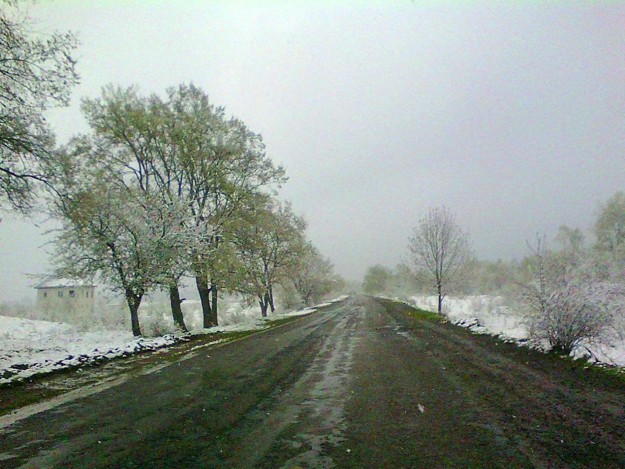краєвид - Нижня Стинава