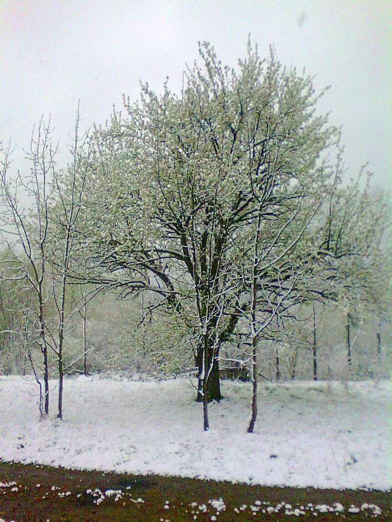 краєвид - Нижня Стинава