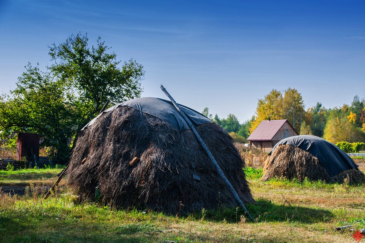 Вильхове - Вільхове