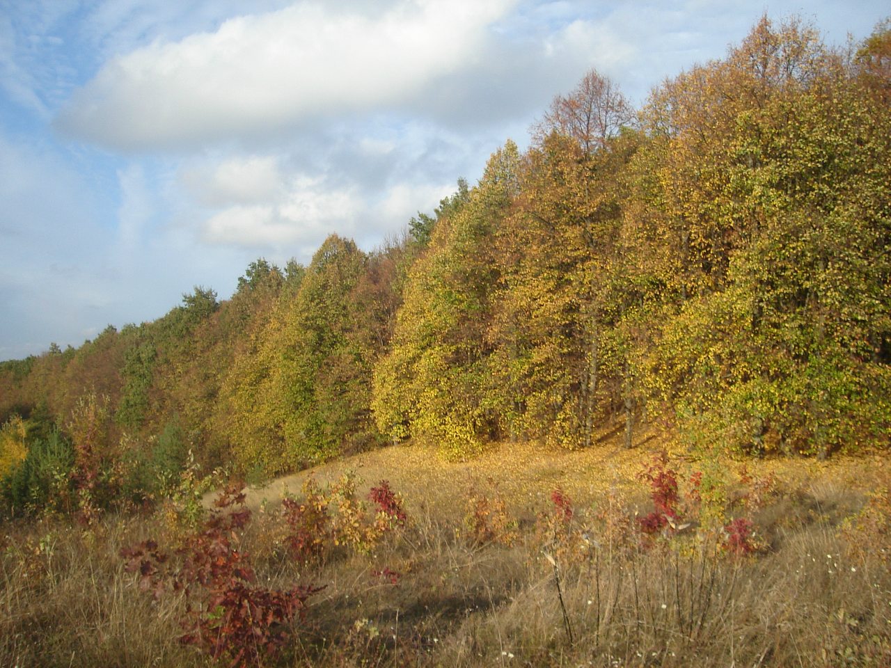 Млиев 2016 - Мліїв