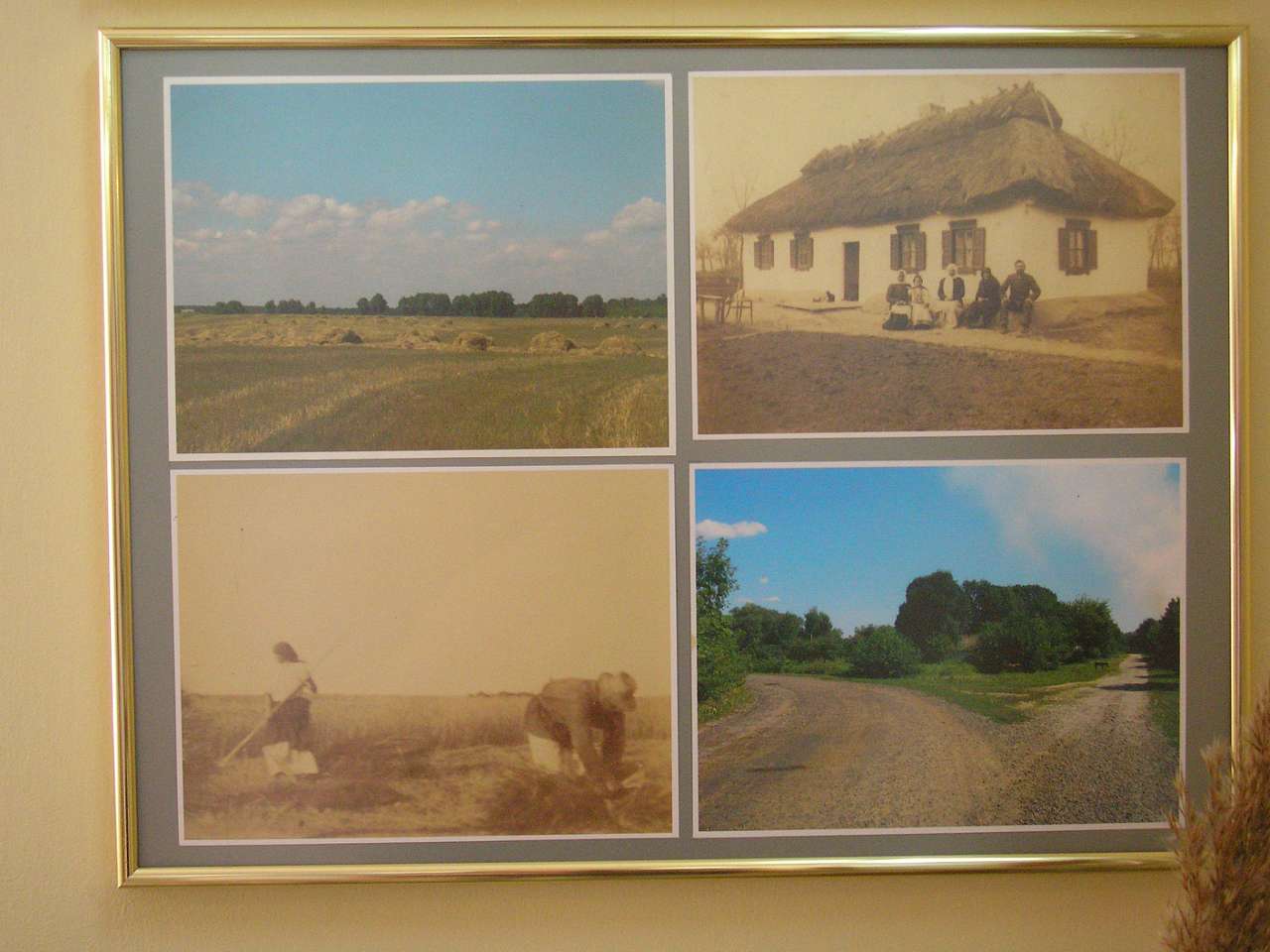 Музей Грушевського - Сестринівка