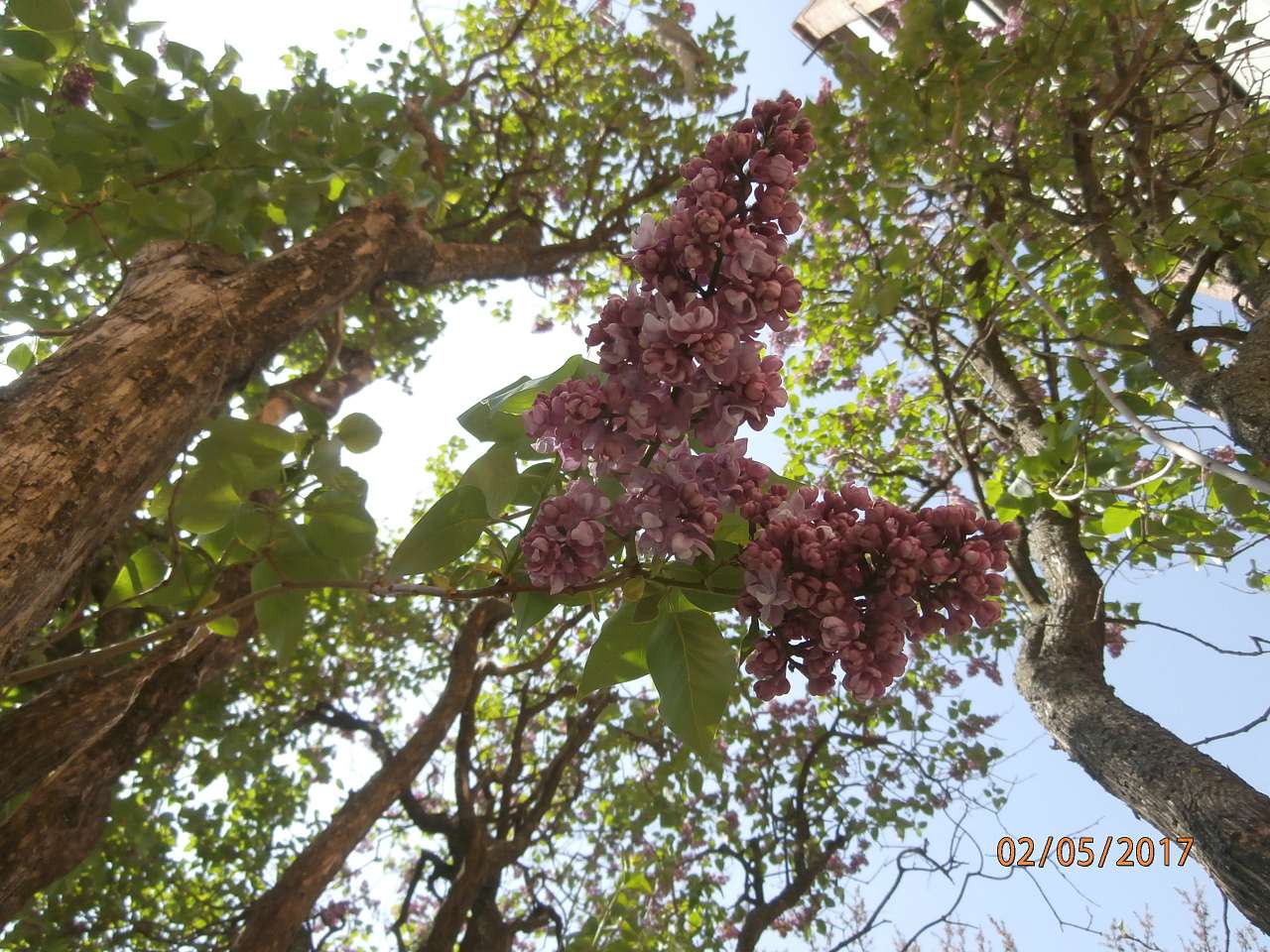 Ватутінський калей доскоп - Ватутіне