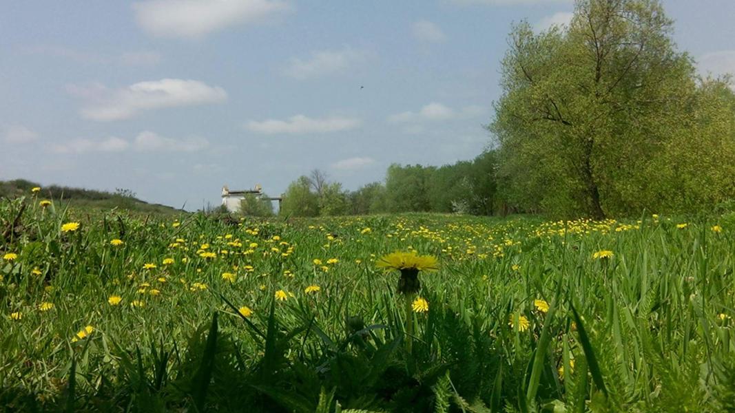 Сабатинівка - Сабатинівка