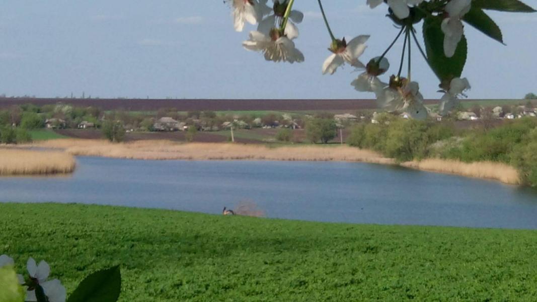 Сабатинівка - Сабатинівка