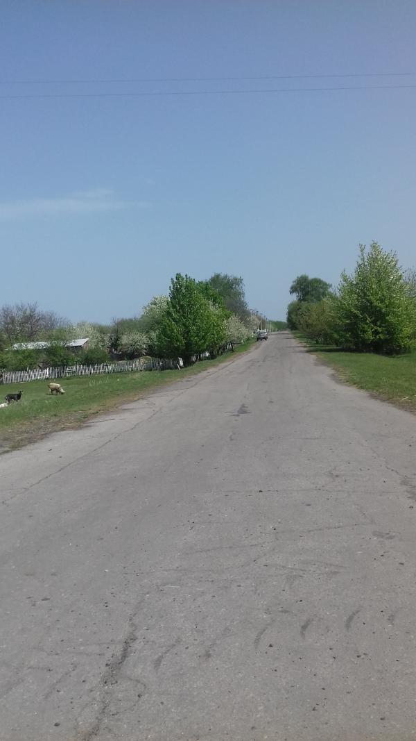 Перетічки - сьогодні - Перетічки