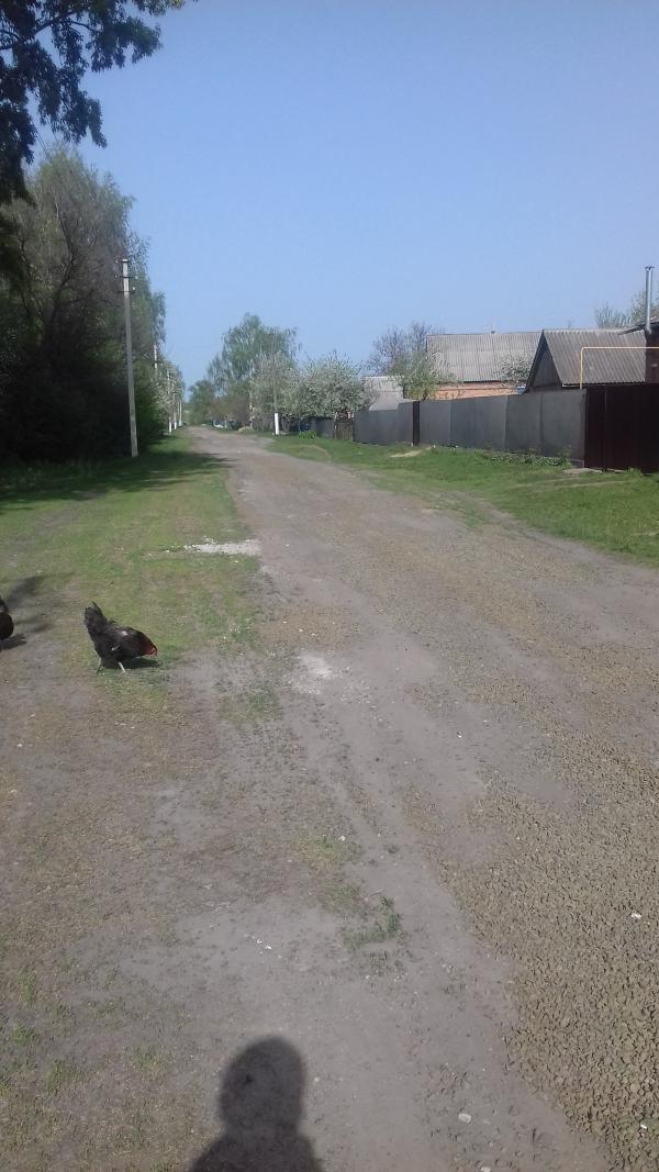 Правдюки - Pravdyuky