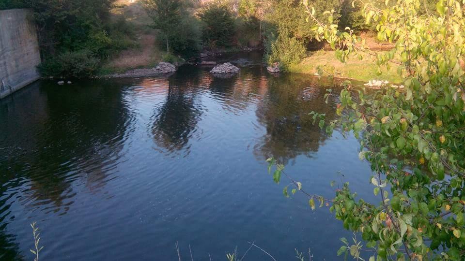 Сабатинівка - Сабатинівка