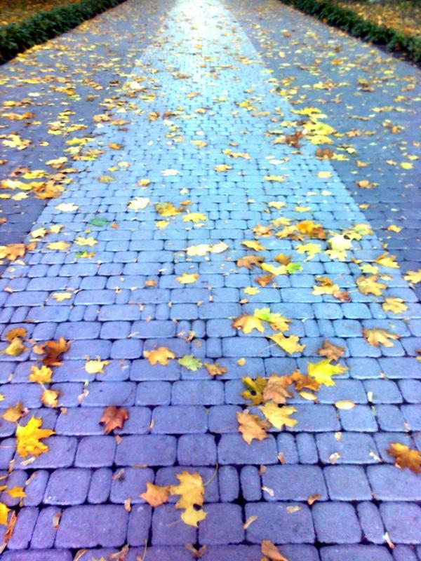 Моя Качанівка - Качанівка