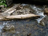 ВОДОСПАД ТРУФАНЕЦЬ