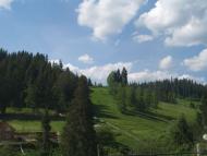 ПО ЦЕНТРАЛЬНІЙ ВУЛИЦІ