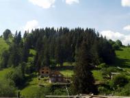 ПО ЦЕНТРАЛЬНІЙ ВУЛИЦІ