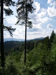 На Яблуницькому перевалі