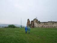 ПНІВСЬКИЙ ЗАМОК