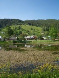 село Криворівня