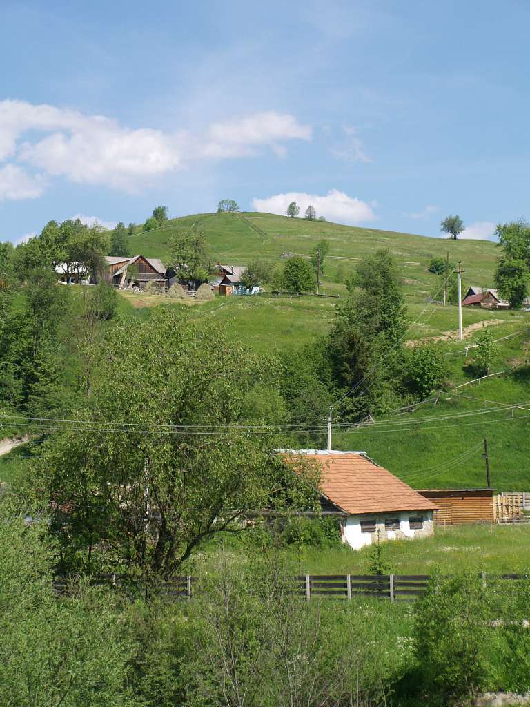 Лазещина - Лазещина