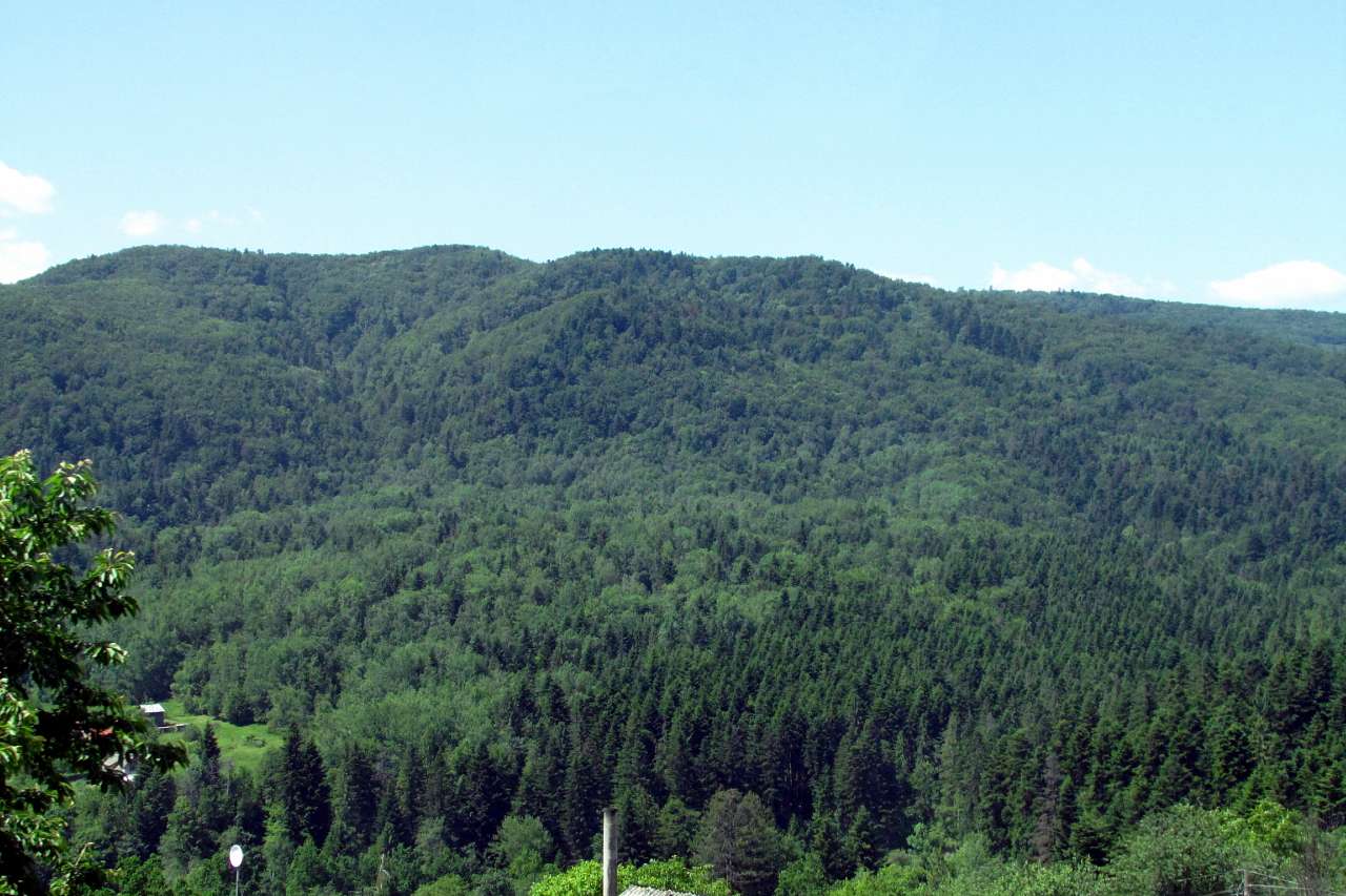 Косів цікавий - Косів